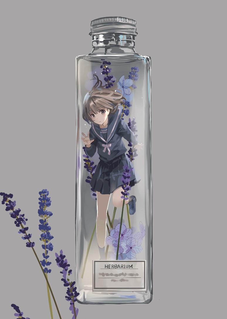 「植物標本少女ラベンダー花言葉:期待・沈黙 」|成瀬ちさとのイラスト
