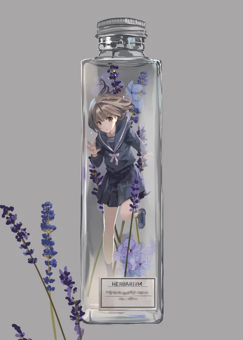 植物標本少女ラベンダー花言葉:期待・沈黙 