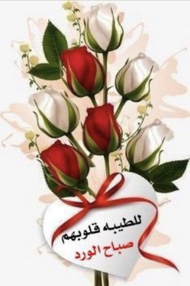 Ahmed A (@ahmedaa22934153) on Twitter photo 