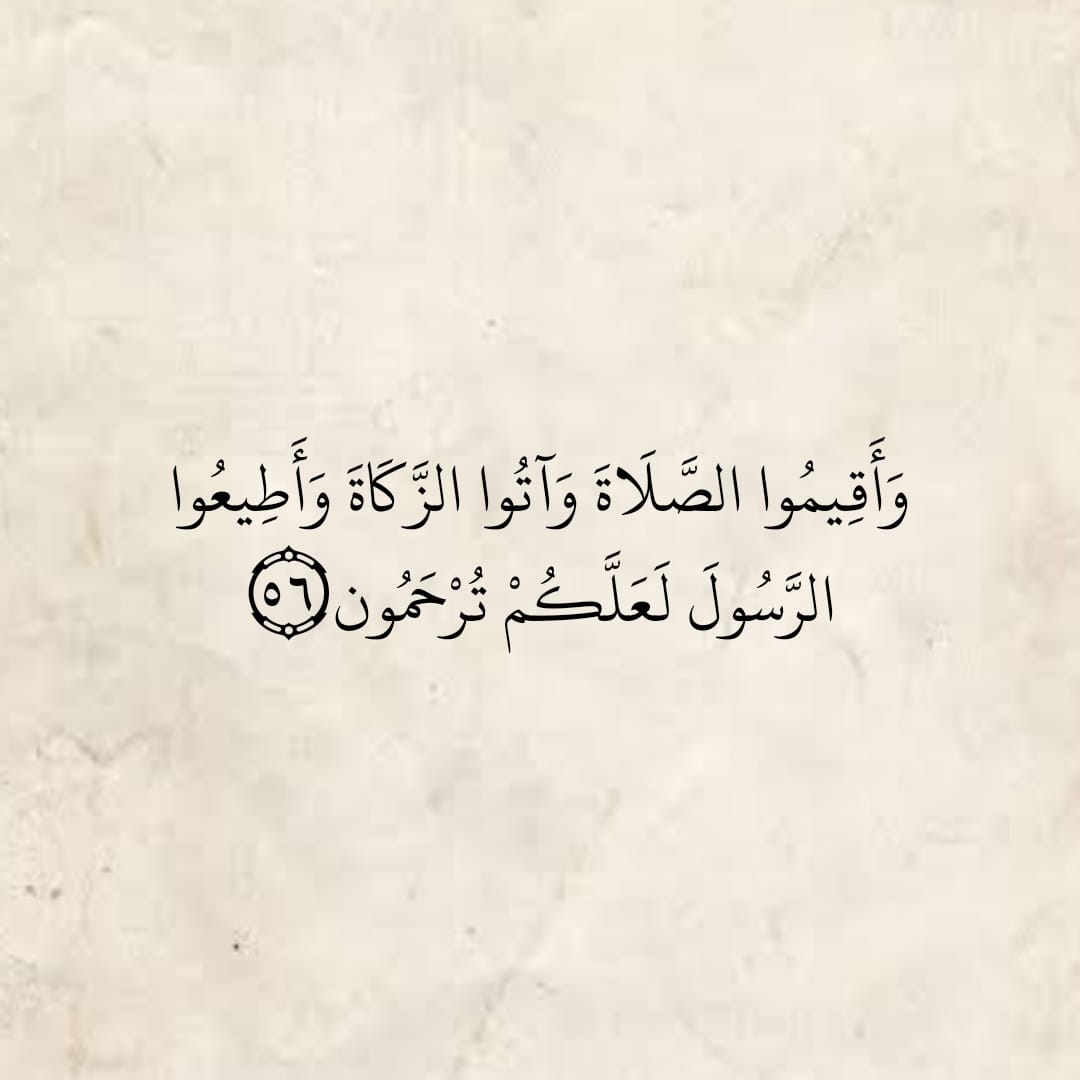 Ahmed A (@ahmedaa22934153) on Twitter photo 