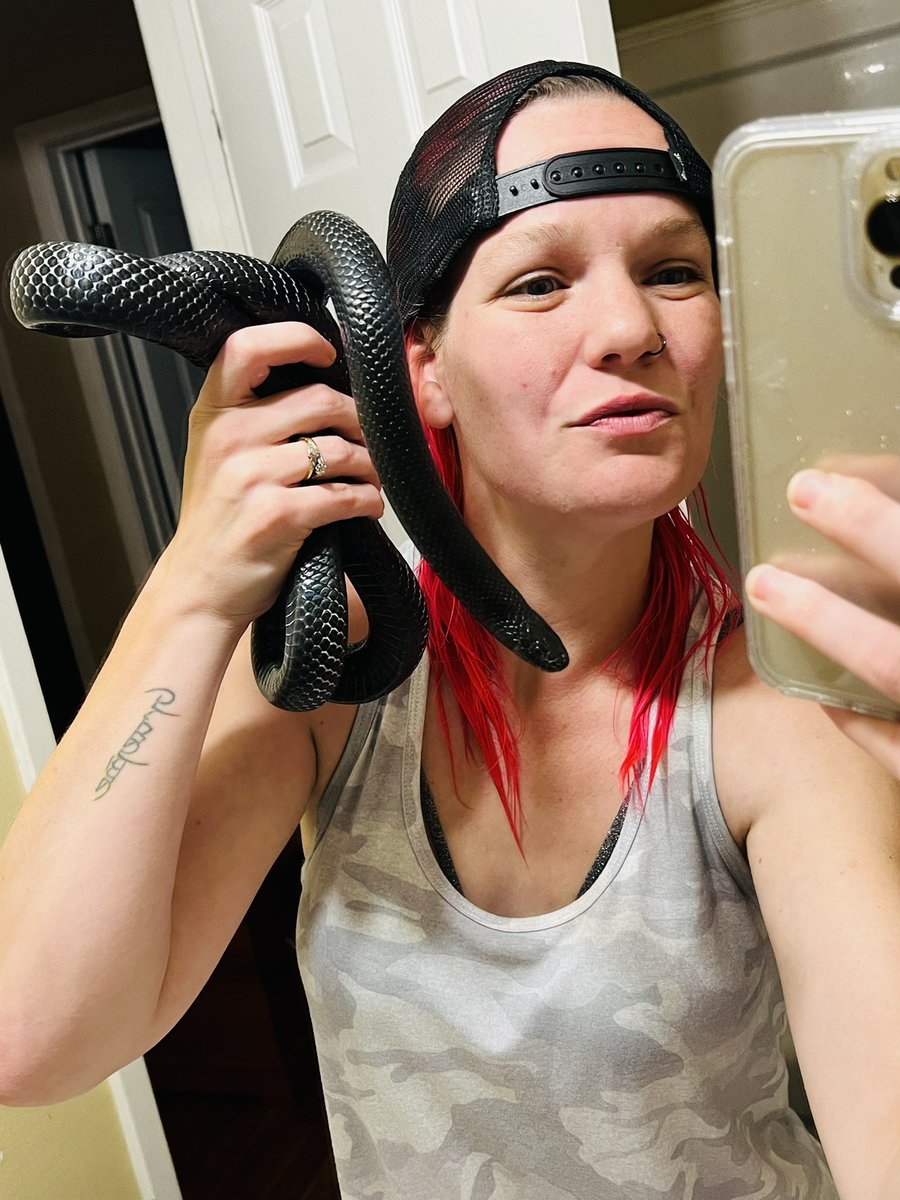 DarkerrStill's tweet image. My snakes cooler then your snake. #kendrick #snake #snakemom #kingsnake #alt #altpet #altgirl #love #cute #cuties #friendly #iphone13promax