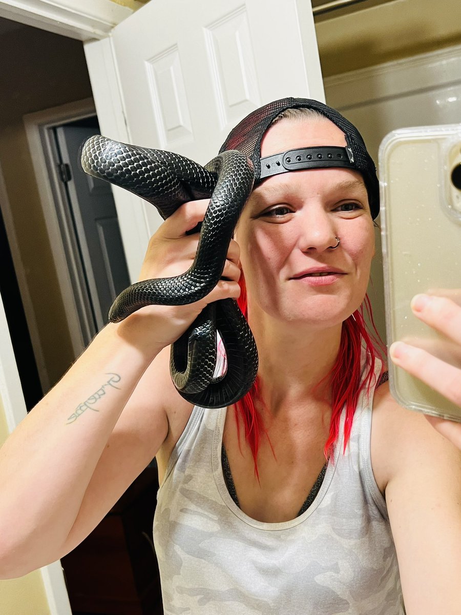 DarkerrStill's tweet image. My snakes cooler then your snake. #kendrick #snake #snakemom #kingsnake #alt #altpet #altgirl #love #cute #cuties #friendly #iphone13promax