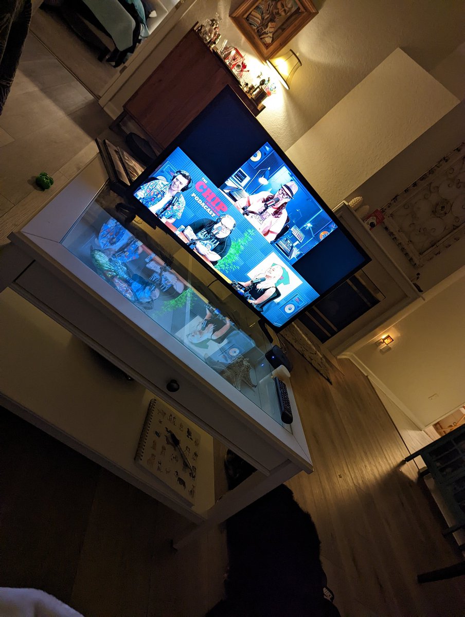 Kelsrardi's tweet photo. House I'm dog sitting at doesn't have the perfect set up, but I'm making the best of it with Chip. #fother #muckers https://t.co/8YIlFC7d2v