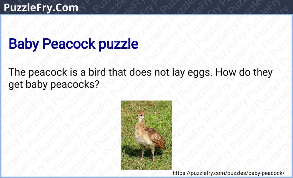 Baby Peacock puzzle
#puzzles #brainteasers #riddles
Reference - https://t.co/bpnKBBixRx https://t.co/PEffIVMtqK