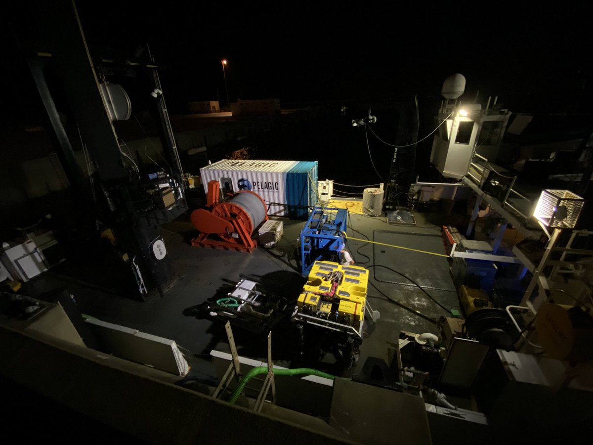 robertlogan504's tweet photo. The back deck is all lit up as we get ready for 17 days in the Gulf of Mexico exploring the ocean floor, our longest trip this year.
We’ll be visiting sites impacted by the Deepwater Horizon oil gusher as well as a bunch of other spots. https://t.co/wEt378DLsC