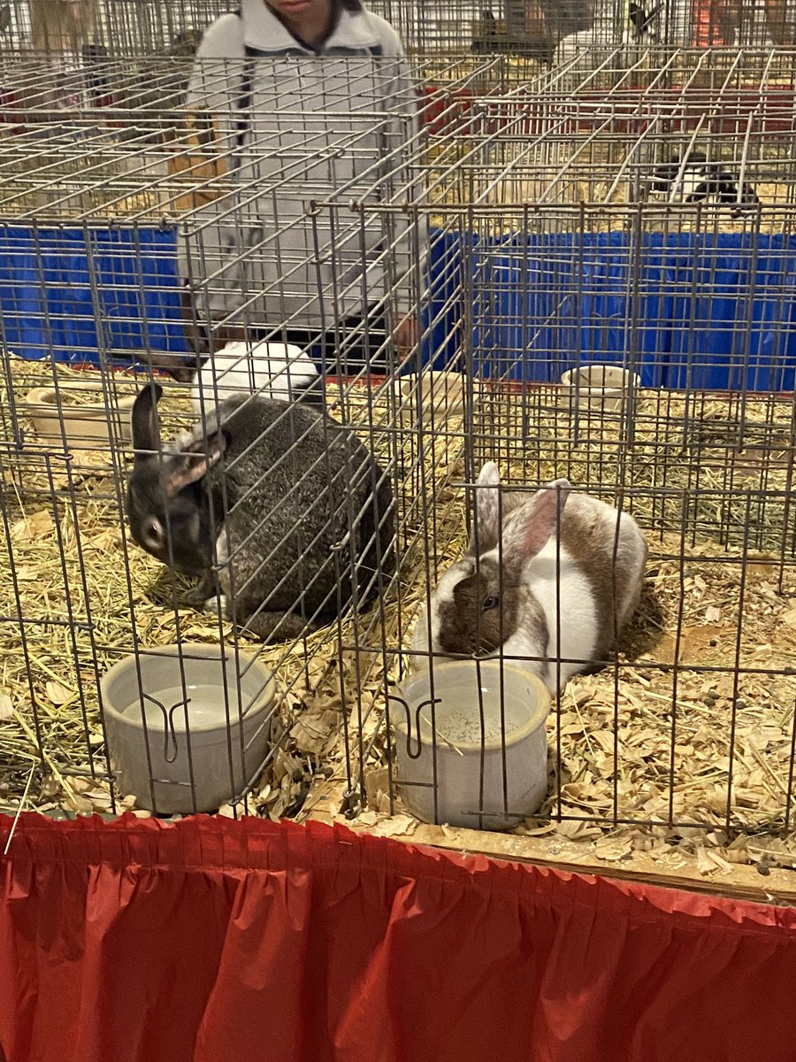 SLSmith11070's tweet photo. Me and my best friend hanging out at Lake County Fair in Crown Point, IN on the last day. #lakecountyfair #crownpointindiana #summertime2022 #NWI https://t.co/wroyIrFjic