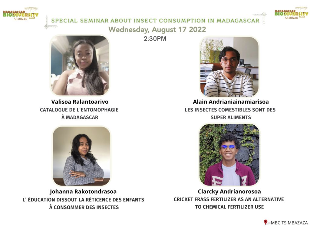 #malagasyseminar 🔥🔥Special seminar on Wednesday 🔥🔥 Insect consumption in Madagascar by Valisoa Ralantoarivo, Alain Andrianiainamiarisoa, Johanna Rakotondrasoa, Clarcky Andrianorosoa @mbc_madagascar. 📅Join us on Wednesday (17 August) at 2:30 PM 📌MBC Tsimbazaza Join us😉