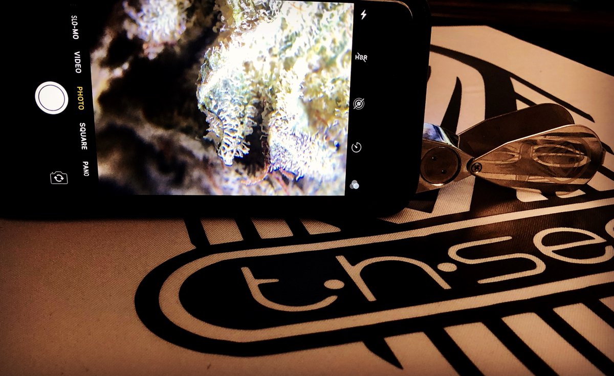 mythsee's tweet photo. Live budshots! Easily take high resolution macro photos/videos of your marijuana using any cell phone camera! https://t.co/m3K0qQYZsY #thsee https://t.co/zIP1o1tDlh