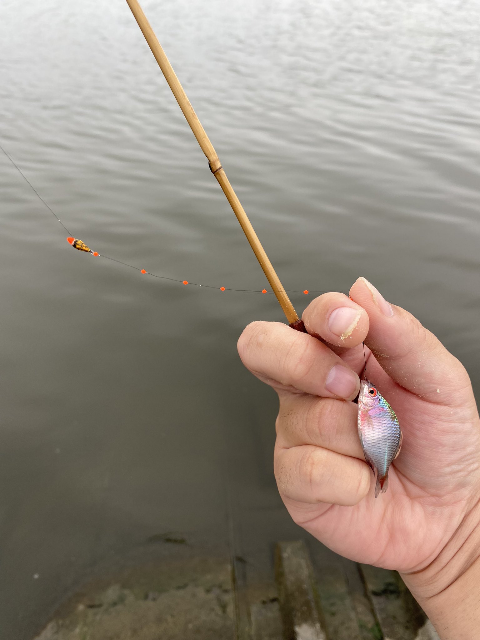 Yasu Yasufishingch25 Twitter