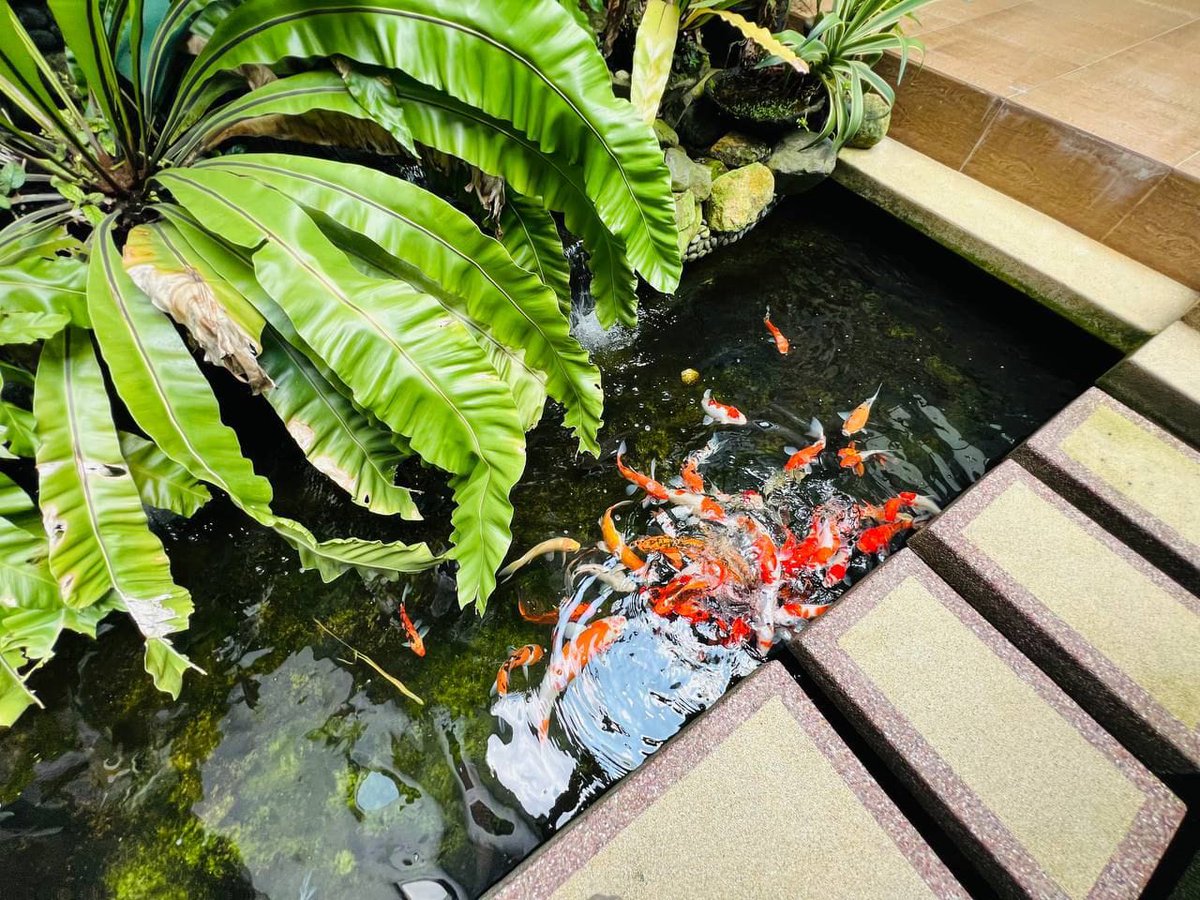 Shay Kahn tweet media