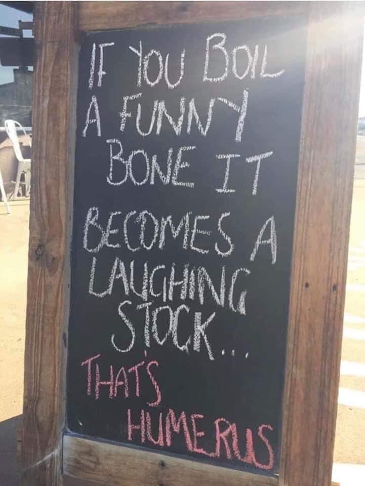 jbaldwin_books's tweet photo. Tomorrow is my staff’s first official day back. To celebrate, I am sharing the pun my husband sent me. I’ll figure out a way to integrate something like this in my daily library interactions. #JennisInnocent @twosmartbunnies @molsen14 https://t.co/y6reDaE7sk