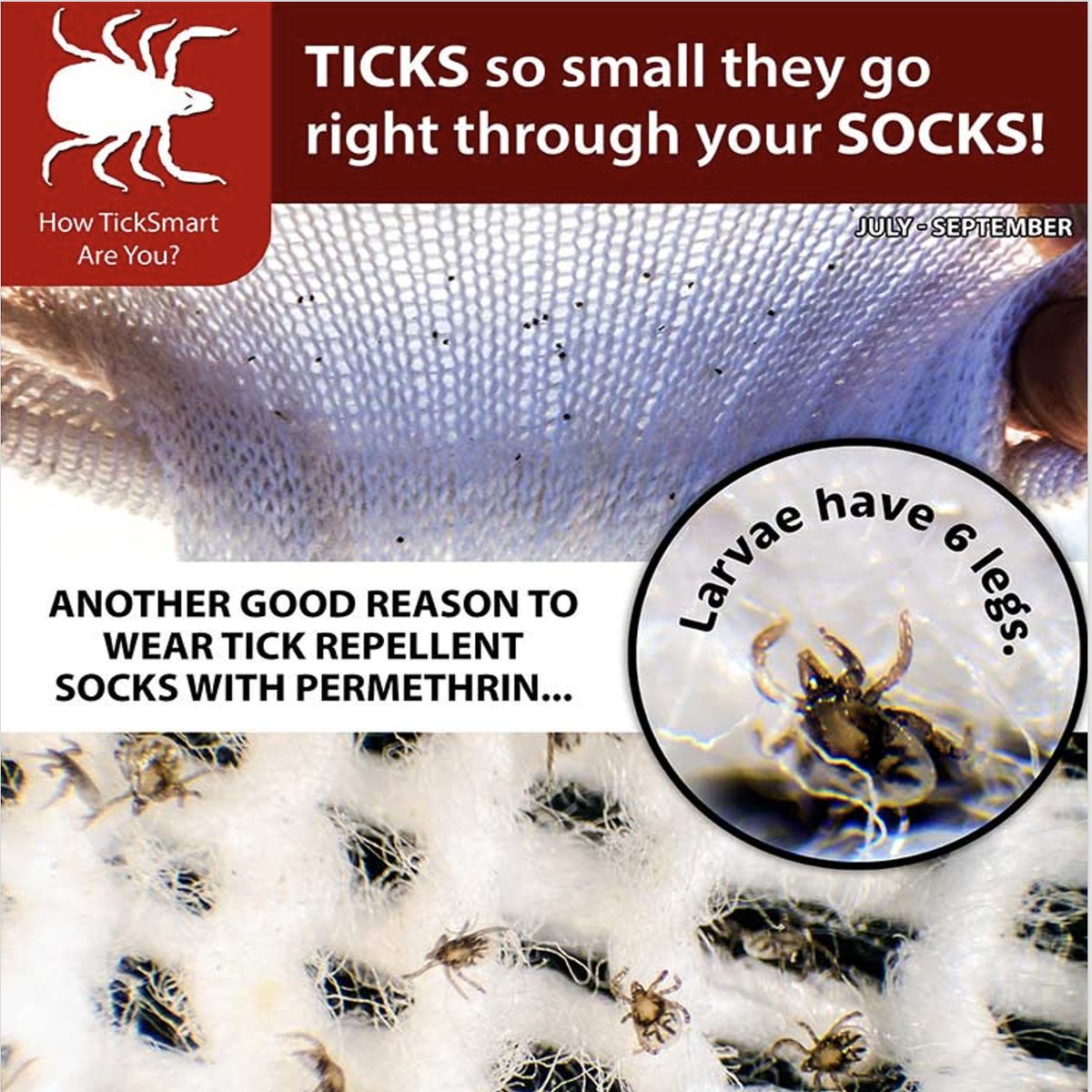 Thomas Mather tweet media