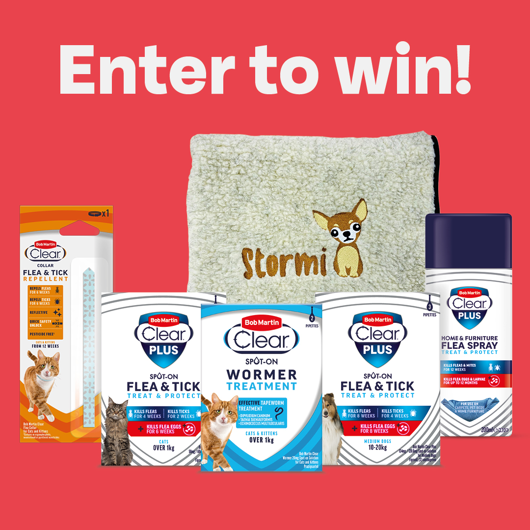 BobMartinPets's tweet photo. COMPETITION TIME!

Win a flea season hamper filled with everything you need to keep your pets happy and healthy, PLUS get your very own handmade personalised pet blanket!

To enter:
1 Tag your besties
2 Share this post
3 You must be following us to win

Comp ends 22/8/22 https://t.co/JKid6DCKEz