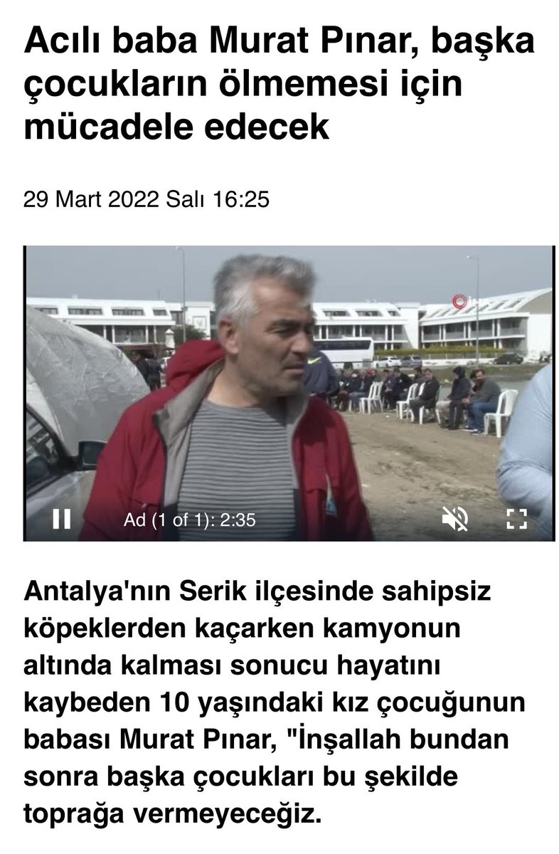 Zülâl Kalkandelen Ⓥ 🐑 tweet media