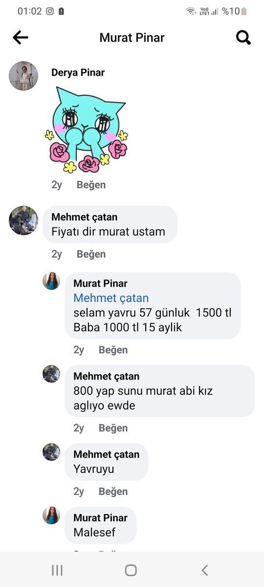 Zülâl Kalkandelen Ⓥ 🐑 tweet media