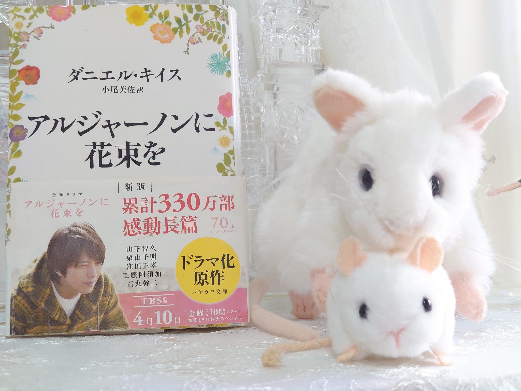 تويتر アルジャーノンに花束を 2 البحث في تويتر