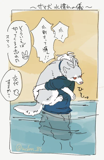 🐴犬水慣れの儀
※擬獣化 