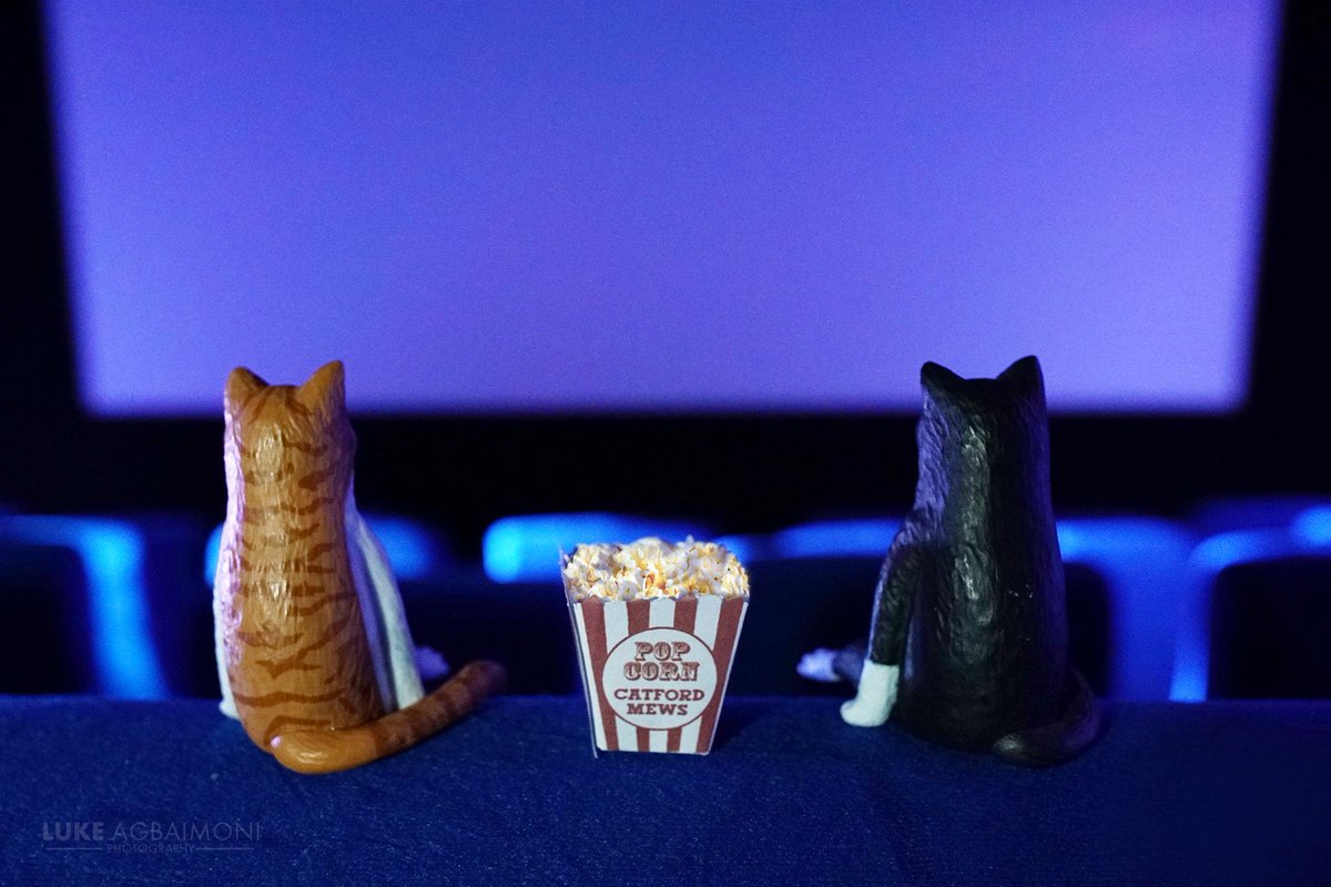 Purrfect Popcorn - Catford Mews Fun shot featuring my toy cats enjoying some of the yummy popcorn at Catford Mews Cinema in Catford. @CatfordMews Part of my project showcasing #Lewisham the borough of culture 2022 #lewisham2022 #cats #cat #wearelewisham #photography