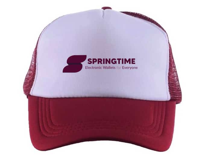 gotonabaasa's tweet image. Coool @springwallets