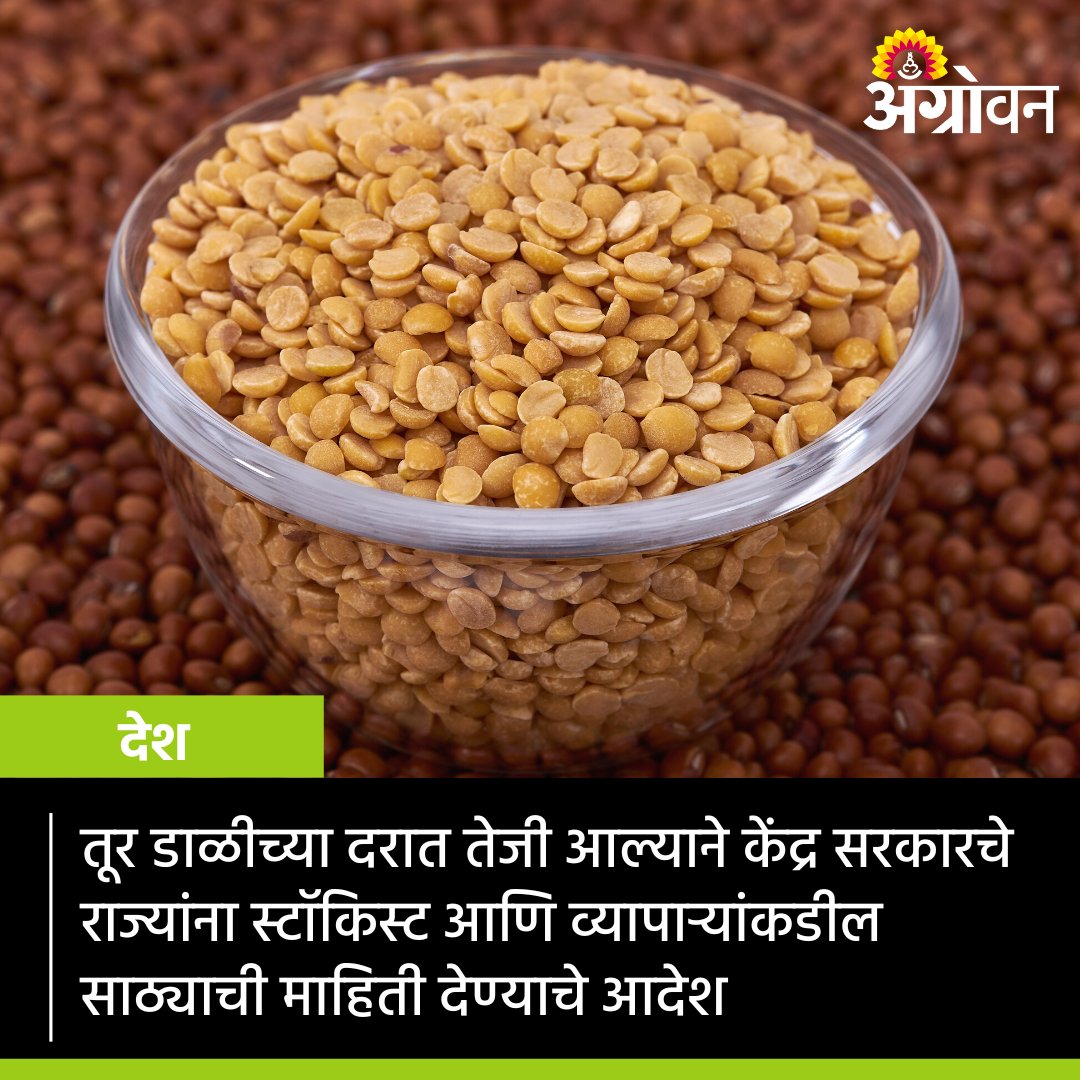 AGROWON's tweet photo. तुरीची साठेबाजी होत असल्यामुळे दर भडकल्याची चर्चा आहे. त्यामुळे सरकारने आता अत्यावश्यक कायद्याचे हत्यार उपसले आहे. सर्व स्टॉकिस्ट आणि व्यापाऱ्यांकडील तुरीच्या साठ्याची माहिती देण्याचे आदेश सर्व राज्य सरकारांना दिले.
https://t.co/LSdBrlkG4n

#Agrowon #AgricultureNews #TurFarming https://t.co/mIMnzYwpxe