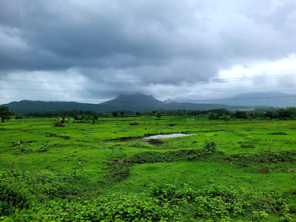 Don't get so busy building a better future, that you forget to enjoy the present.