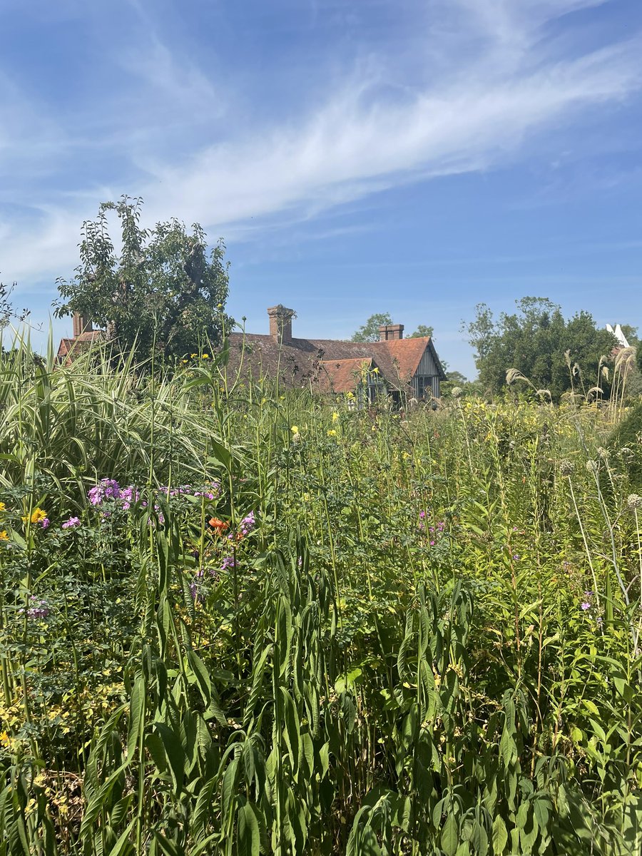 elspjt's tweet photo. Wonderful weekend with friends made perfect by a visit to Great Dixter Gardens. Amazing inspiration even in a drought. #gardening #friendship #weekendfun #inspiration https://t.co/nRnUQDxDSU