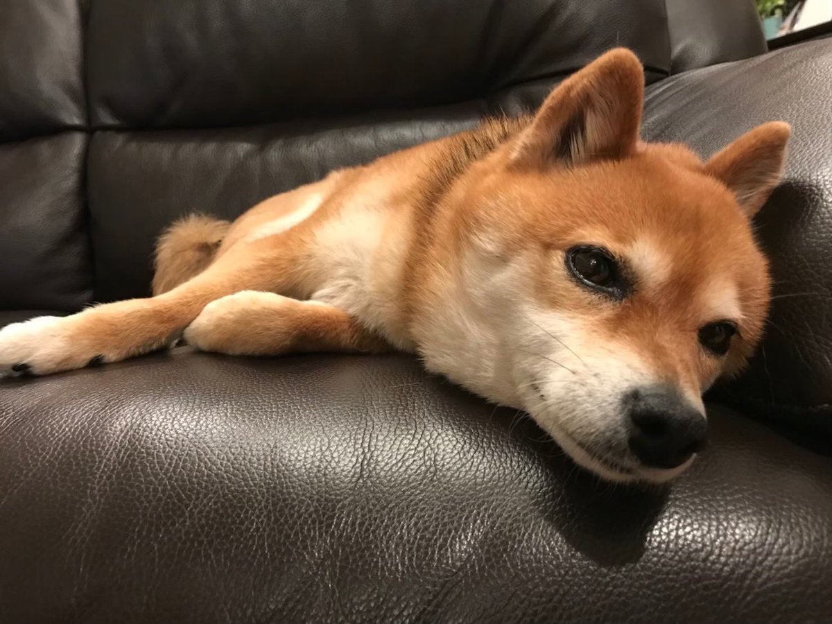 夏バテぇ〜