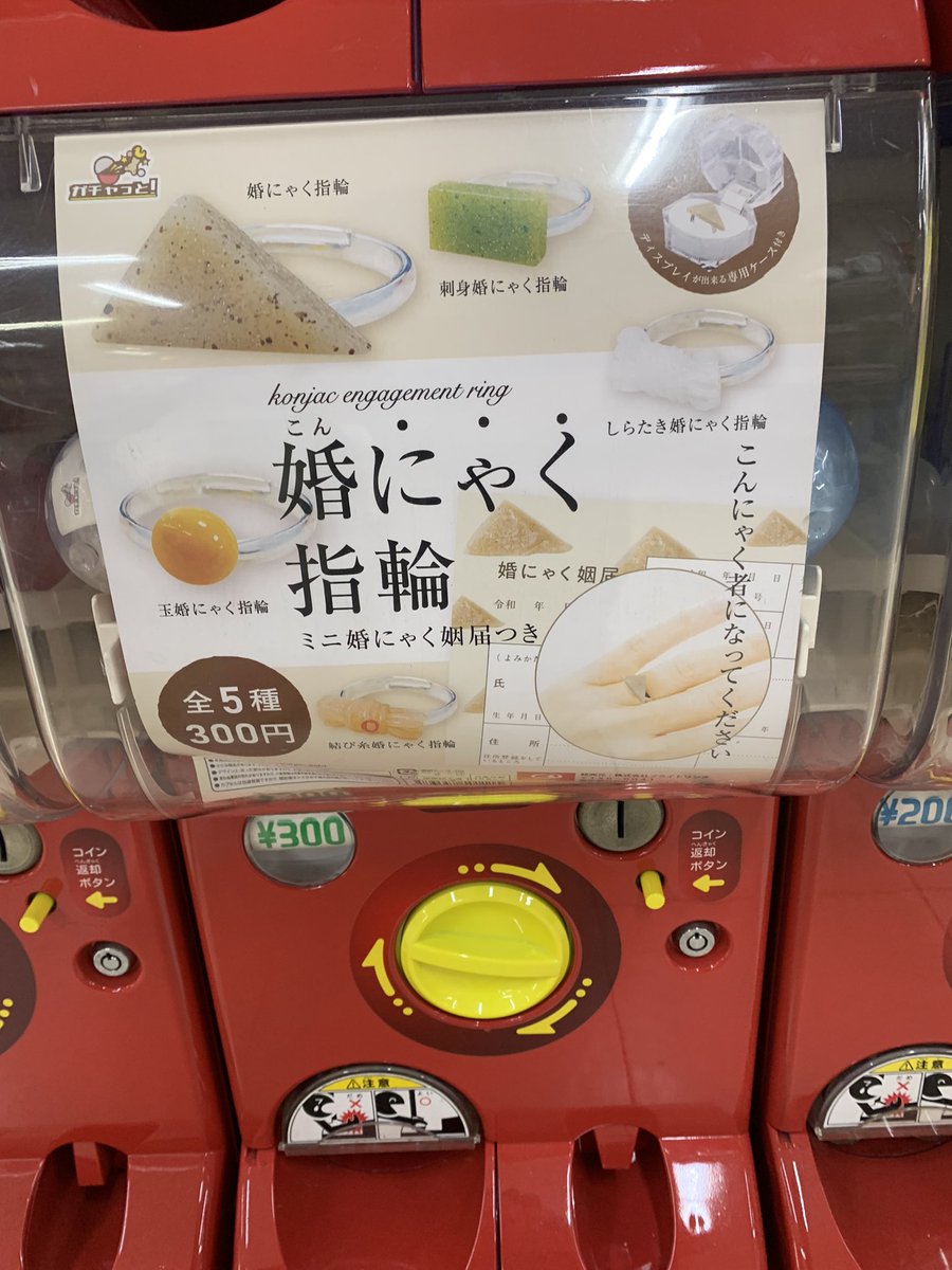 chie_you_taka's tweet photo. 婚約指輪買ってないからこれ買ってあげるっとパパに言われてお断りさせていただきました(笑) https://t.co/m1RHGj0fro