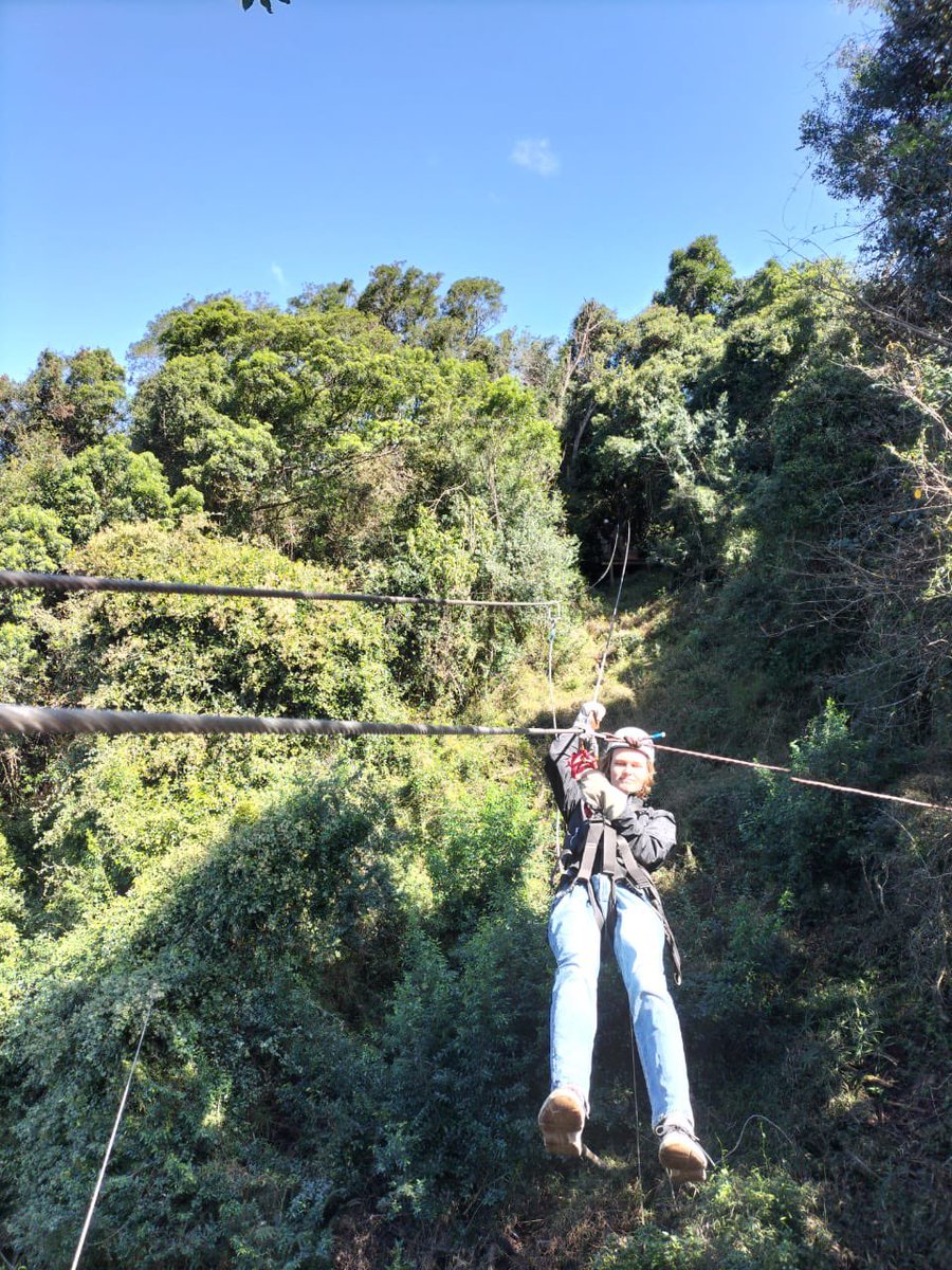 Gurkan_OW's tweet photo. Swinging through the South African forest https://t.co/UZ5UBfAMfg
