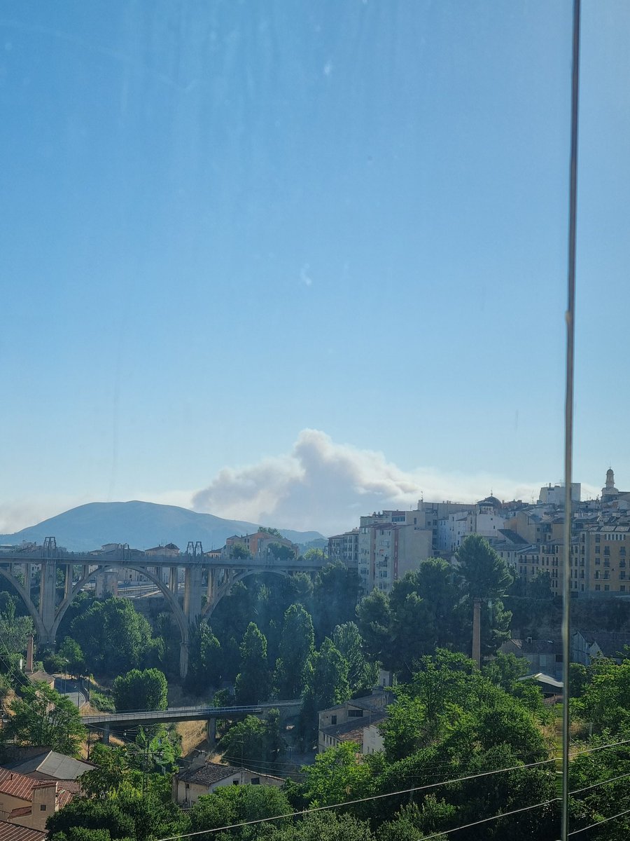 papajabalí tweet media