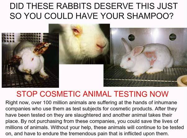 Bharat_JT's tweet photo. All sentient beings are morally equal. Don't exploit any of them. Freedom is their basic right too.
#StopAnimalCruelty
#AnimalsFreedom
#AzadiKaAmritMahotsav
#HarGharTiranga https://t.co/k6pnXFpu0d