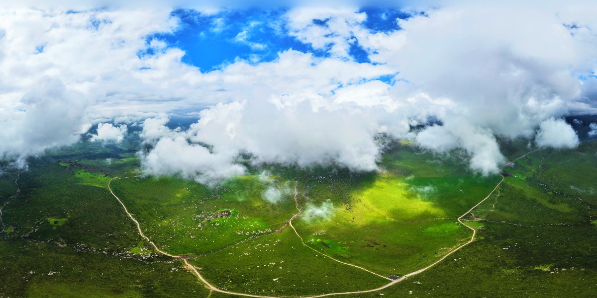 ExploreGansu's tweet photo. 💦🍃Xiaritala Grasslands in Sunan Yugur autonomous county of #Gansu province offers you an ideal destination to cool down!
🌧️🌥️After the rain, a marvelous sea of clouds descends on the mountains, creating white waves along the way. #CharmingGansu #GansuView #EarlyAutumninGansu https://t.co/15kdQxDWhW