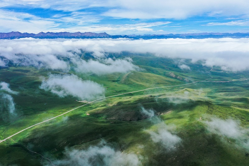 ExploreGansu's tweet photo. 💦🍃Xiaritala Grasslands in Sunan Yugur autonomous county of #Gansu province offers you an ideal destination to cool down!
🌧️🌥️After the rain, a marvelous sea of clouds descends on the mountains, creating white waves along the way. #CharmingGansu #GansuView #EarlyAutumninGansu https://t.co/15kdQxDWhW