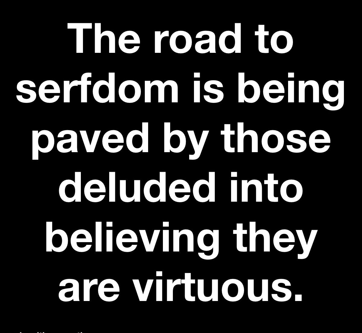 Melissa Ciummei (@kscubkee) on Twitter photo 