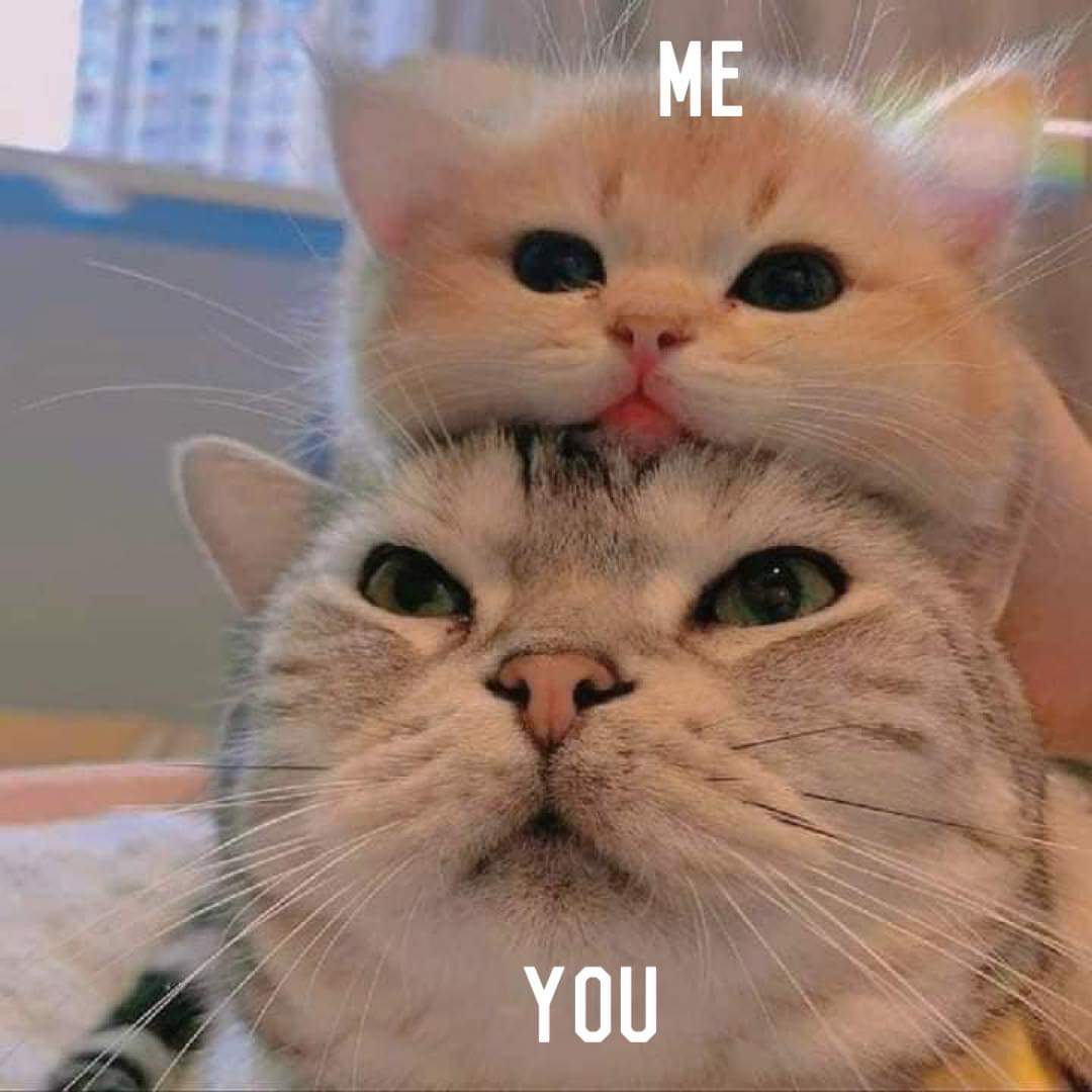 🥰 <a href="/MillicentMyLove/">𝒜𝓇𝓂𝒾𝓉𝒶𝑔𝑒 𝐻𝓊𝓍</a>