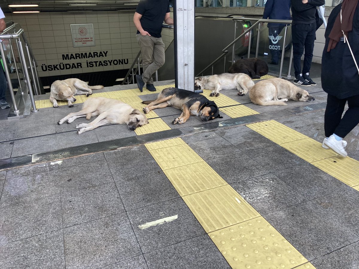 We wílden de trap wel pakken naar de metro, maar die werd stevig bewaakt door de nakomelingen van Cerberus.