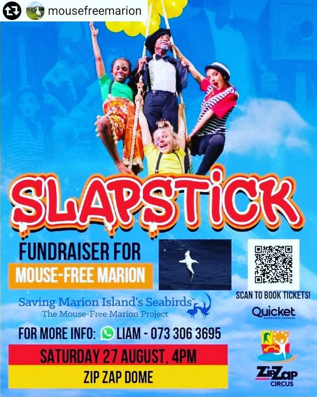 🎭Fundraiser for Mouse-Free Marion

MFM: Eradication project that aims to clear Marion Island of the invasive house mice, that are attacking and killing threatened seabird species on the island. 
.
.
READ more here: instagram.com/p/ChJ-5q5KmQt/… 

#MouseFreeMarion #MarionIsland #MFM