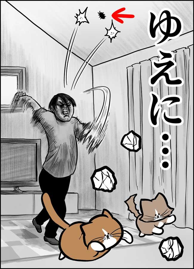 天井に向かって、紙くずを投げる飼い主 その理由に「猫との温度差が最高」「笑った」 https://t.co/2KuU3FLS5K @grapeejpより 