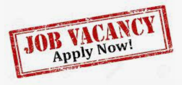 LauraJanes_UK's tweet photo. I am looking for a part time legal admin assistant support my busy #legalaid practice.  

I specialise in working with people in detention with a particular focus on young people. 
 
Deadline: 4pm, Friday 2 Sept 2022.

More info
https://t.co/2QCVZc88W8 https://t.co/7rf89C72Qs