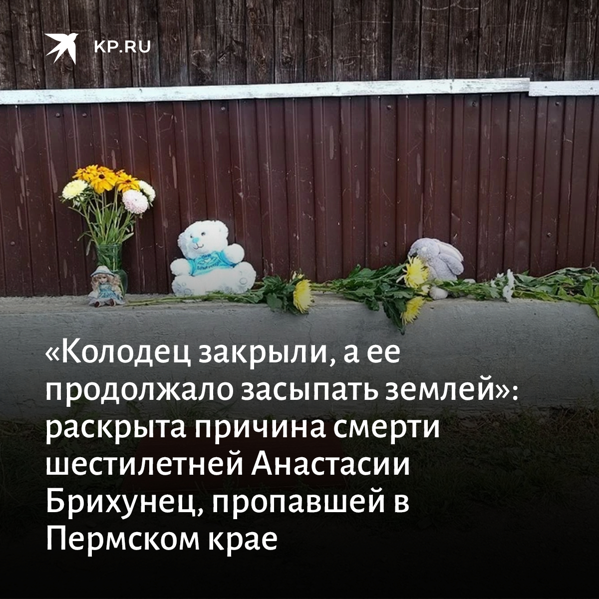 Причина смерти Насти Брихунец из Перми