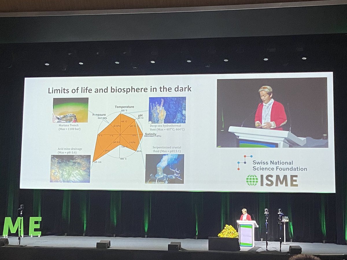 Neus Garcias-Bonet tweet media