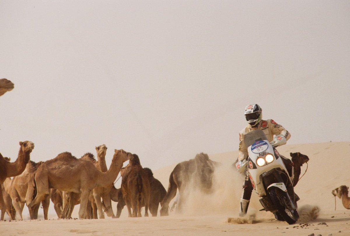 wemoto's tweet photo. MV Agusta are looking to break into the adventure bike scene with their new bikes the Lucky Explorer 5.5 and 9.5 - however these Dromedaries are preparing to give them a run for their money🐪😆
.
.
.
.
#mvagusta #luckyexplorer #wemoto #newmotorcycle #oldvsnew #adventurebike https://t.co/71PrCRWXps