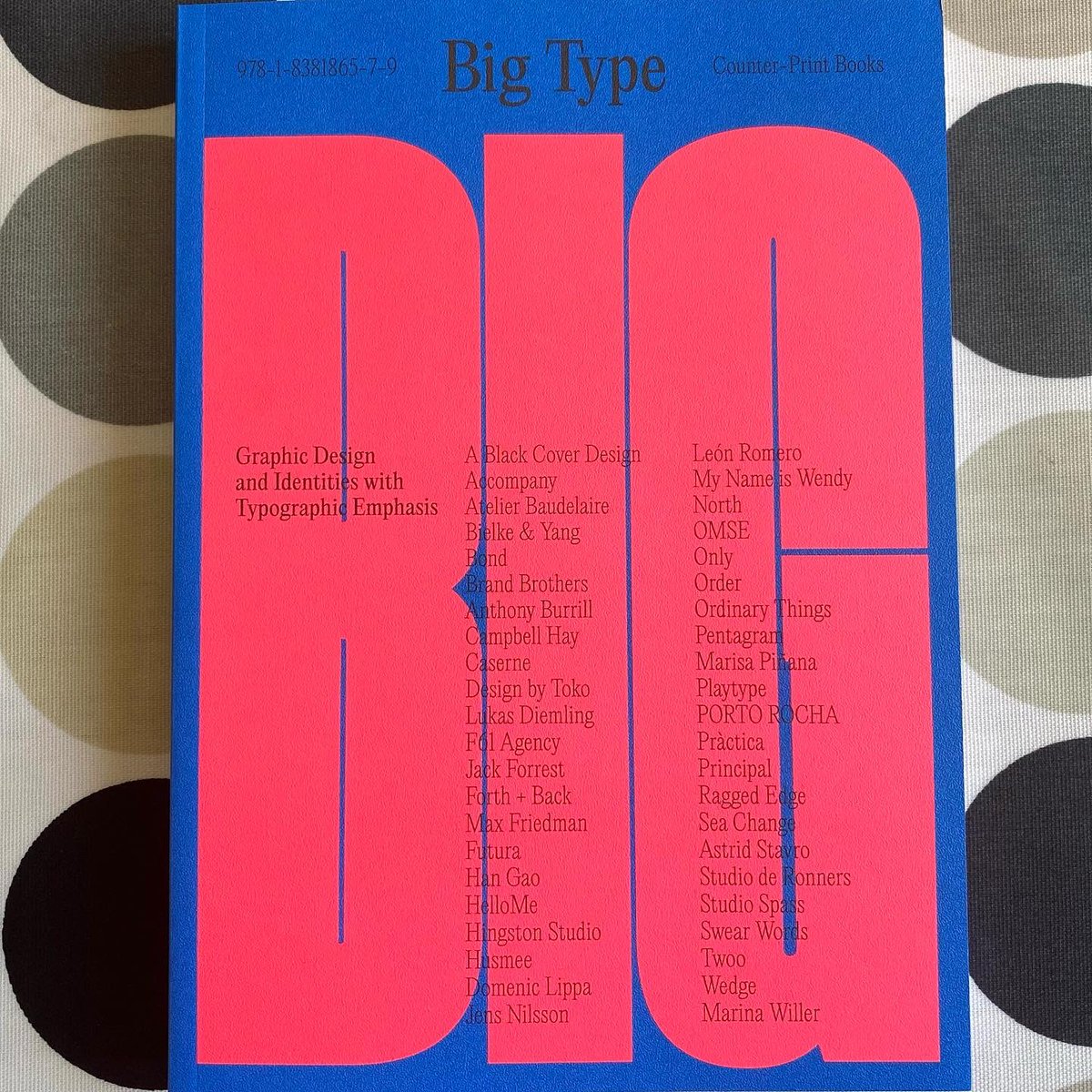 CarolynWillitts's tweet photo. NEW BOOK DAY 💙 #BIGTYPE ❤️@Counterprint https://t.co/6dXtGnSZOu
