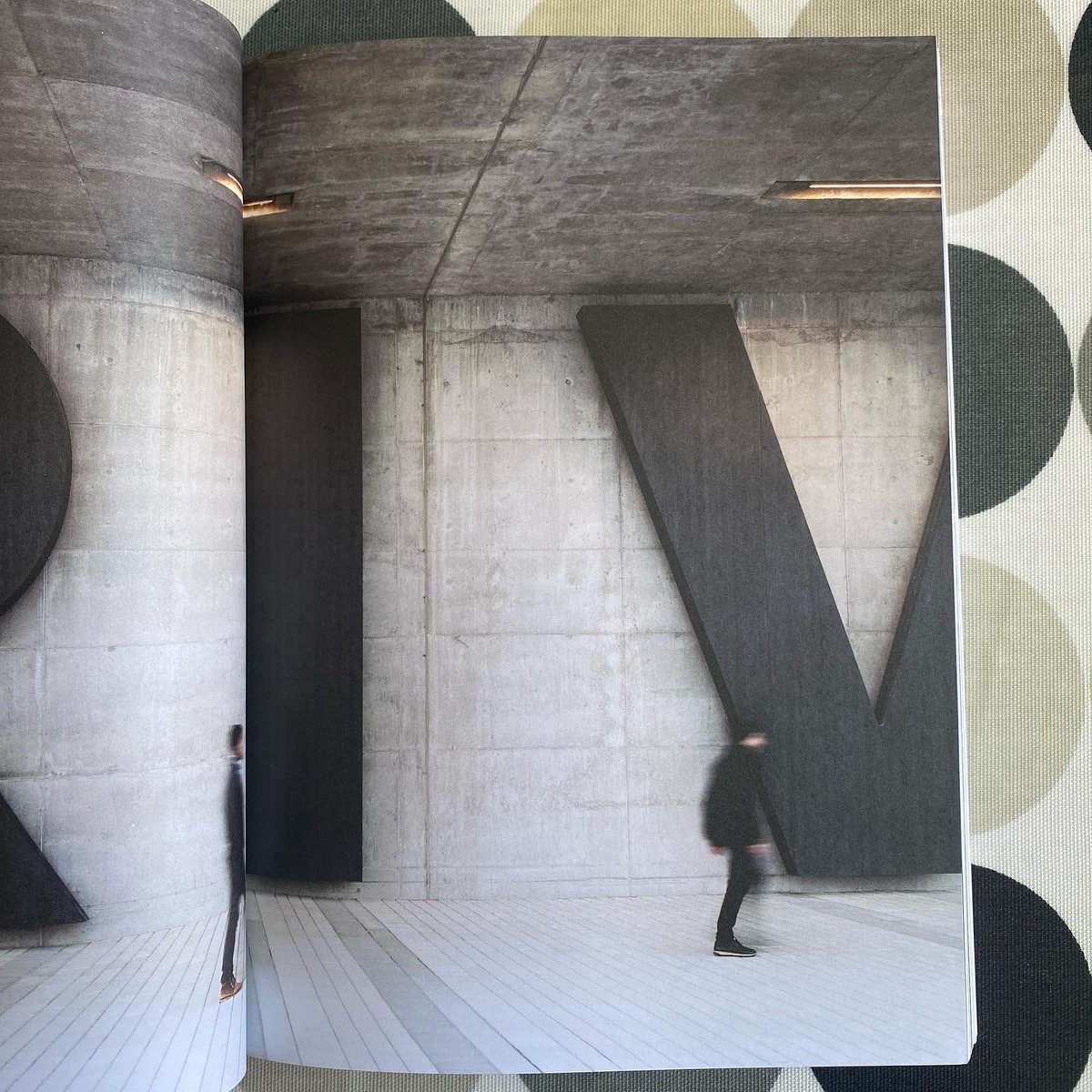 CarolynWillitts's tweet photo. NEW BOOK DAY 💙 #BIGTYPE ❤️@Counterprint https://t.co/6dXtGnSZOu