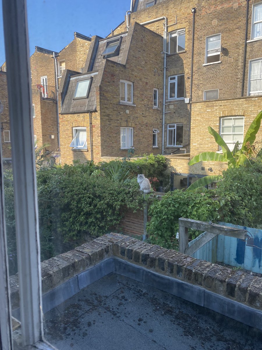 Michael King tweet media