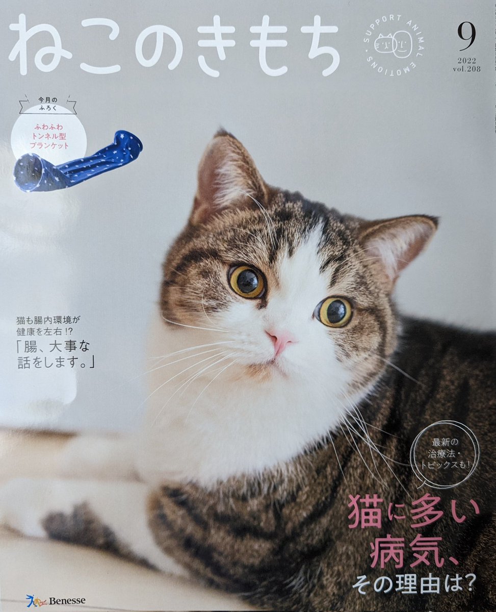 sakuraquiet's tweet photo. ねこのきもち9月号の表紙写真を担当しました📷モデルさんは😺からあげくん
#ねこのきもち #covercat https://t.co/4TC7R68ba1