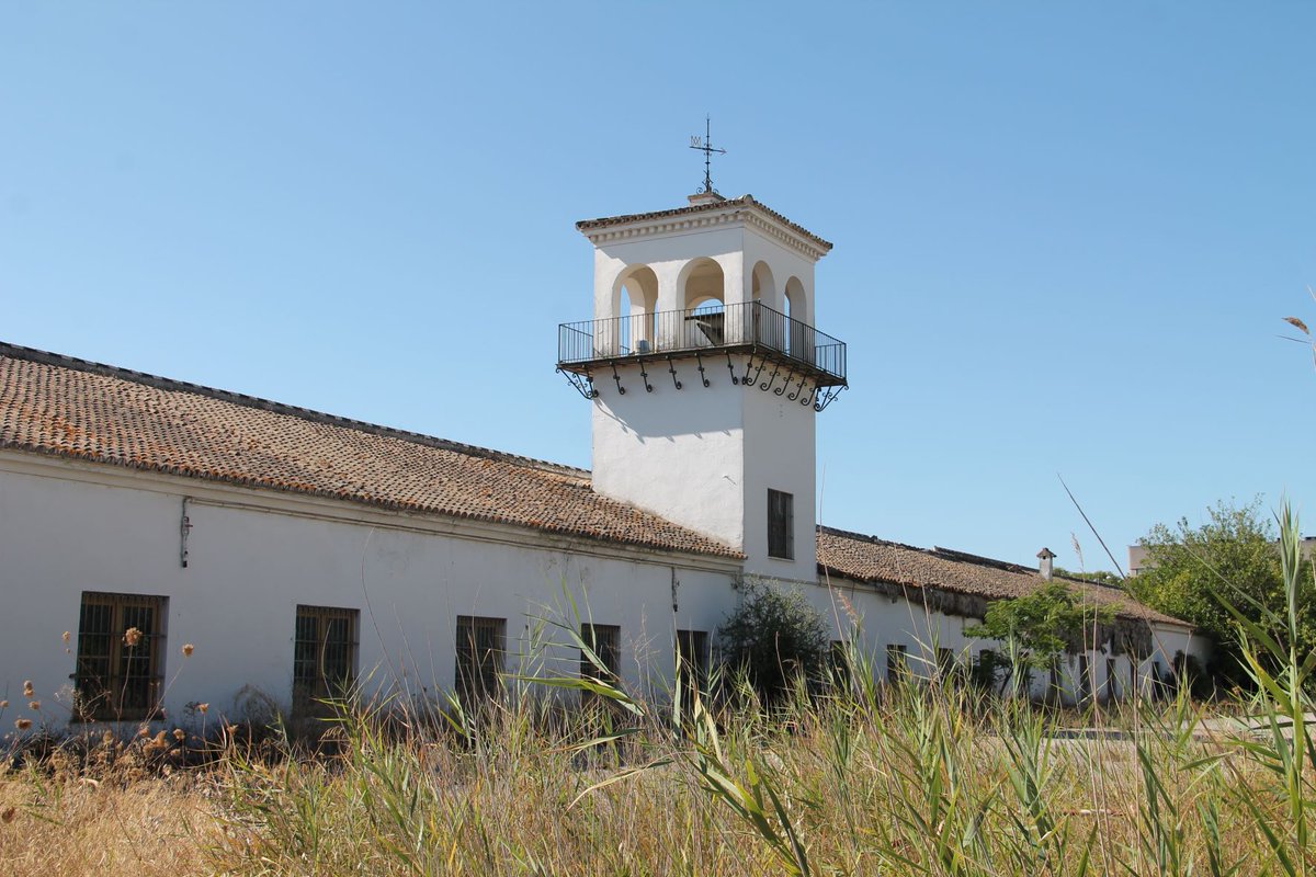 SevillaPAC's tweet photo. Hoy en clave de paseo y devoción patronal y mariana, pero también de lo que pudo ser y no fue referencia del #PatrimonioIndustrial hispalense: Cooperativa Agrícola Algodonera Nuestra Señora de los Reyes #SevillaEste, #Alcosa, #MiDistrito
@Ayto_Sevilla, @CulturaAND, @AlgodoneraSVQ https://t.co/jCatqQrYy0