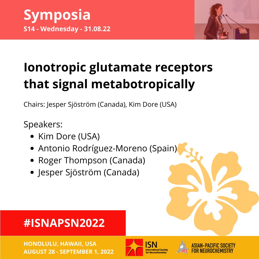 Jesper Sjöström @pjsjostrom.bsky.social (@pj_sjostrom) on Twitter photo With Kim Dore, Roger Thompson (<a href="/neurophy/">Roger Thompson</a> ) & Tony Rodriguez-Moreno, I will be talking about "Ionotropic Glutamate Receptors that Signal Metabotropically" at the <a href="/ISN_society/">International Society for Neurochemistry (ISN)</a>'s #ISNAPSN2022 meeting, Honolulu Hawaii. Looking forward to it, this meeting has a great lineup! With Kim Dore, Roger Thompson (<a href="/neurophy/">Roger Thompson</a> ) & Tony Rodriguez-Moreno, I will be talking about "Ionotropic Glutamate Receptors that Signal Metabotropically" at the <a href="/ISN_society/">International Society for Neurochemistry (ISN)</a>'s #ISNAPSN2022 meeting, Honolulu Hawaii. Looking forward to it, this meeting has a great lineup!