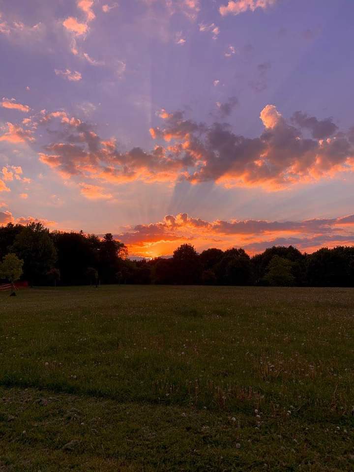 aestheticspost_'s tweet photo. favorite part of the day https://t.co/M81csIgSl8