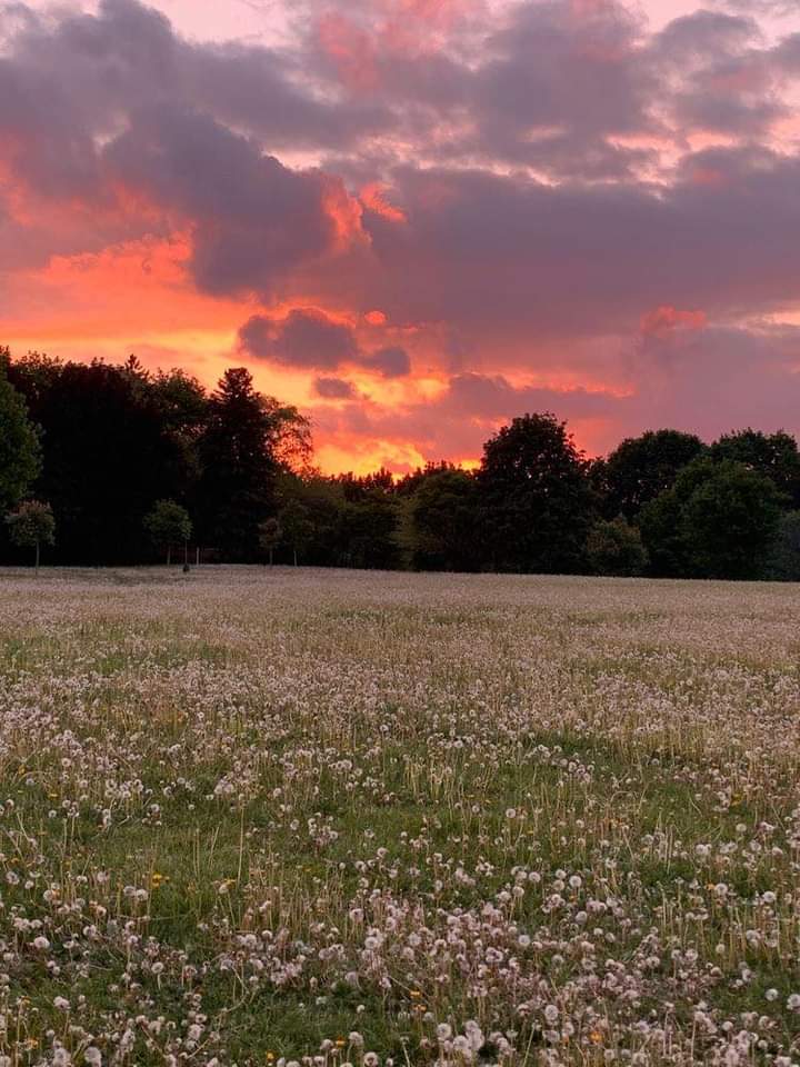 aestheticspost_'s tweet photo. favorite part of the day https://t.co/M81csIgSl8